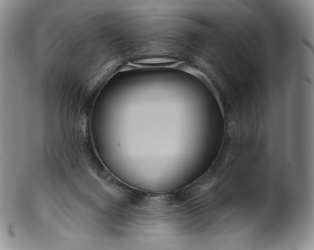 X0000099440072200805231727