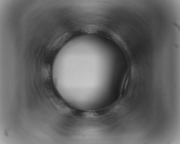 X0000099440073200805231727