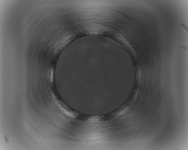 X0000099440076200805231727