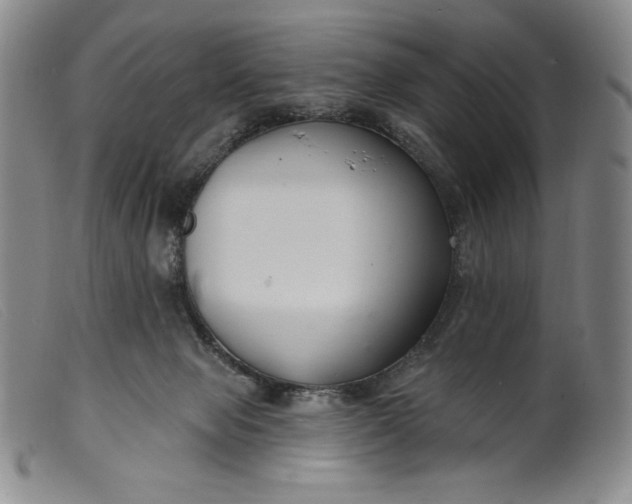 X0000099440077200805231727