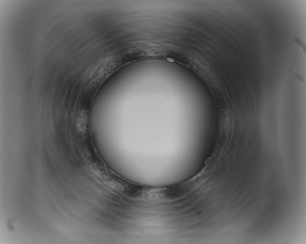 X0000099440078200805231727