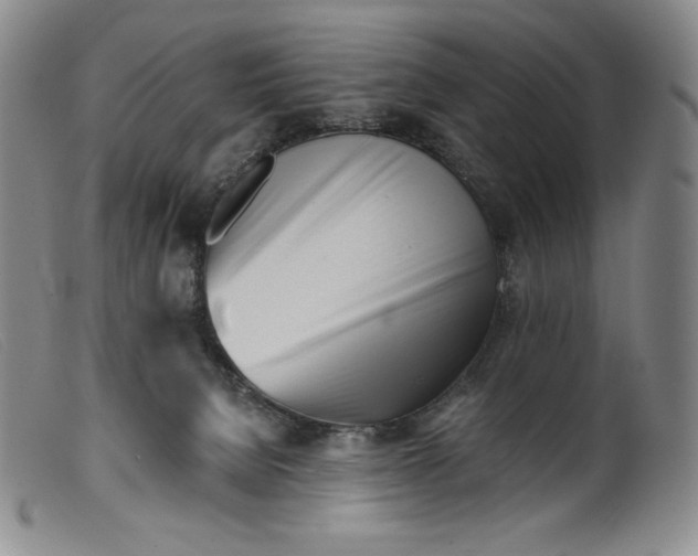 X0000099440080200805231727