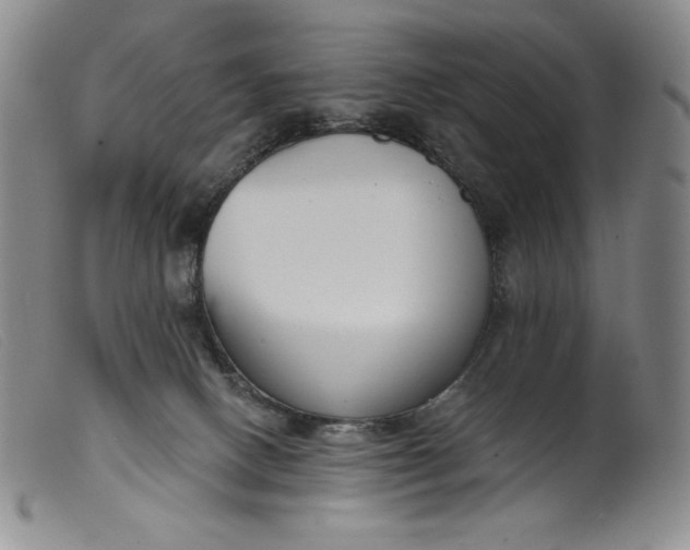 X0000099440082200805231727