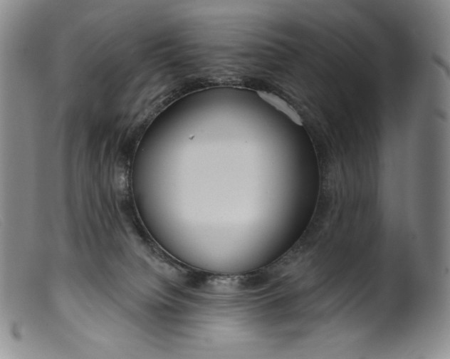 X0000099440084200805231727