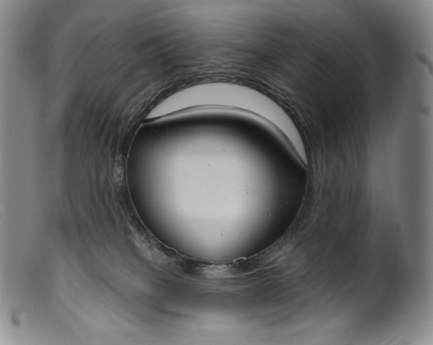 X0000099440085200805231727