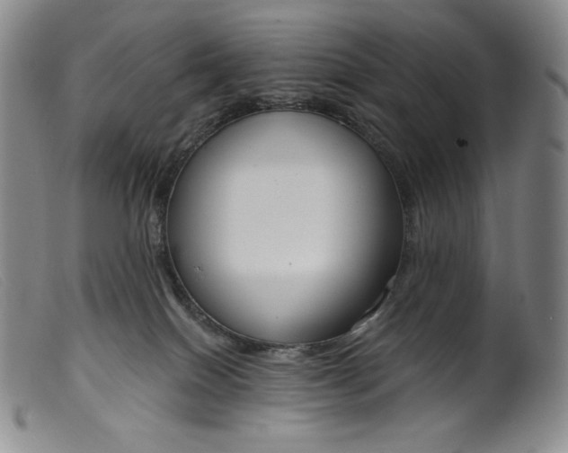 X0000099440086200805231727
