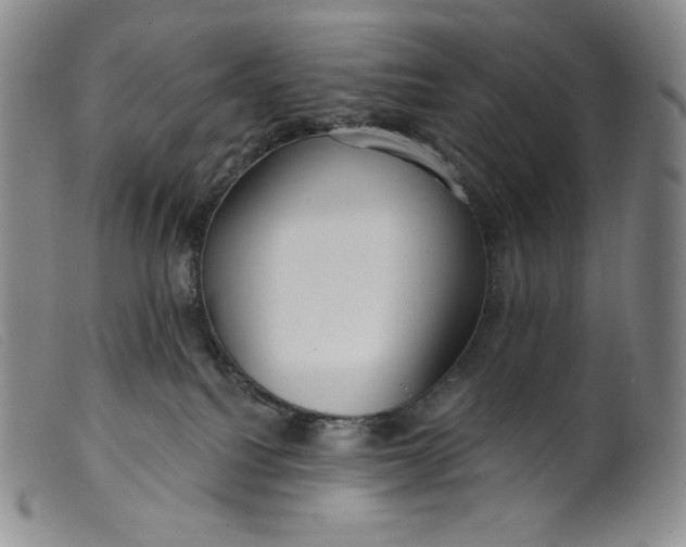 X0000099440088200805231728