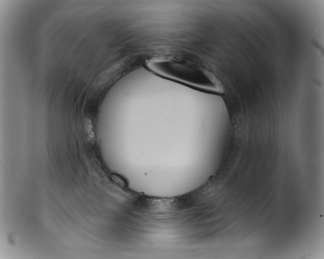 X0000099440089200805231728
