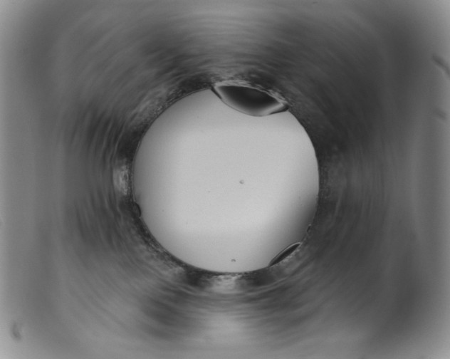 X0000099440090200805231728