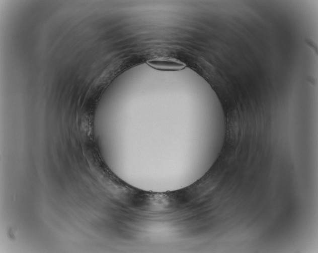 X0000099440091200805231728