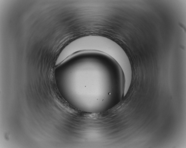 X0000099440092200805231728
