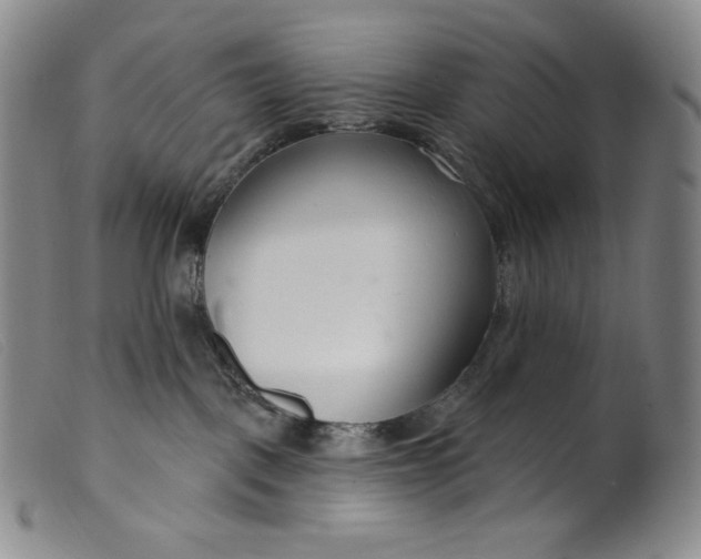 X0000099440093200805231728