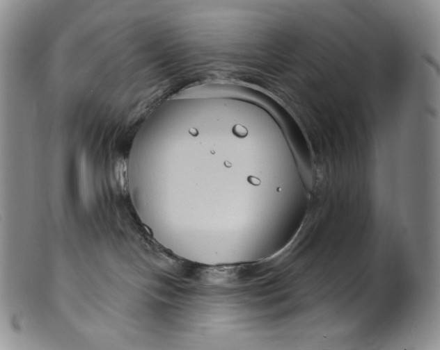 X0000099440094200805231728