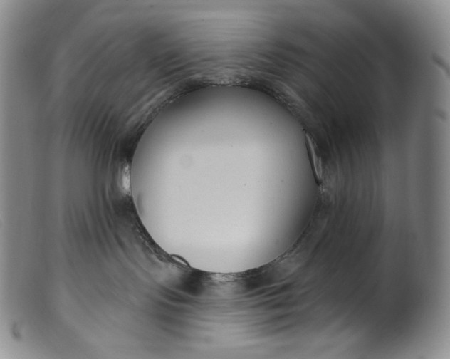 X0000099440095200805231728