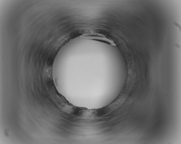 X0000099440096200805231728