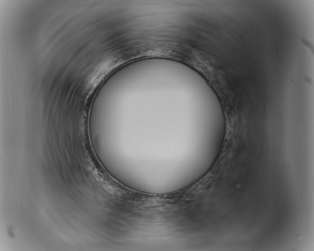 X0000099440098200805231727