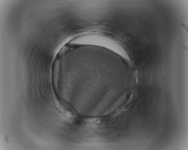 X0000099440100200805231727
