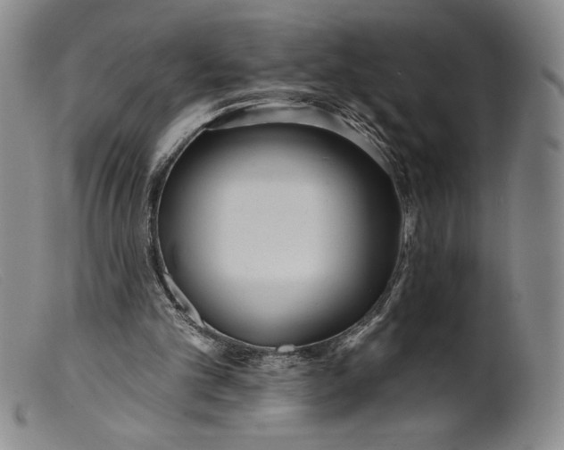 X0000099440101200805231727