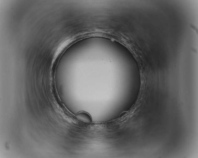 X0000099440102200805231727