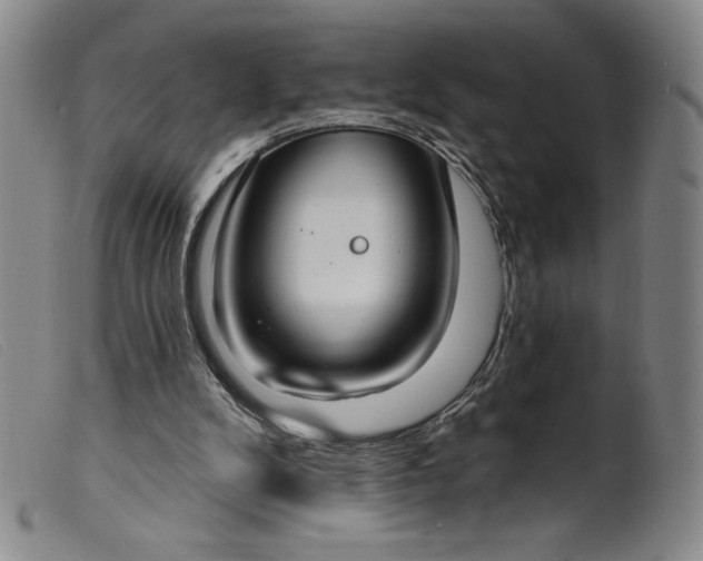 X0000099440104200805231727