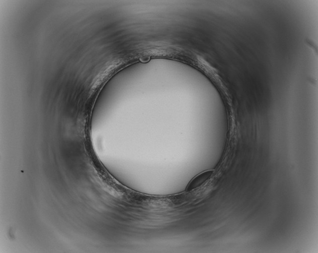 X0000099440106200805231727