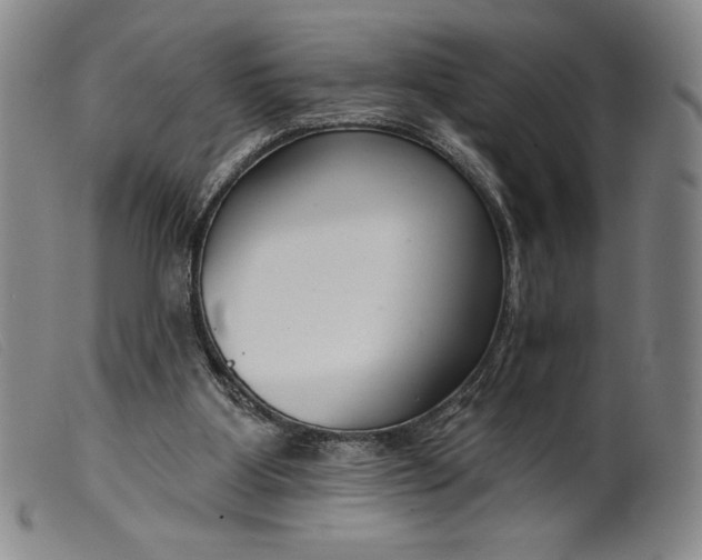 X0000099440107200805231727