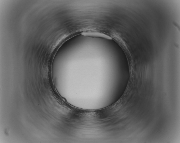 X0000099440108200805231727