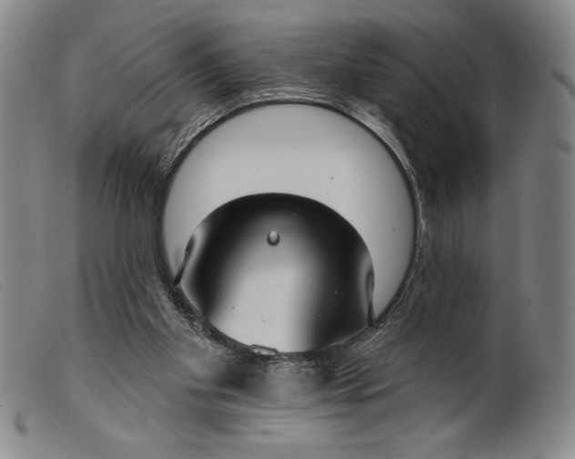 X0000099440109200805231727
