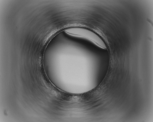 X0000099440111200805231727