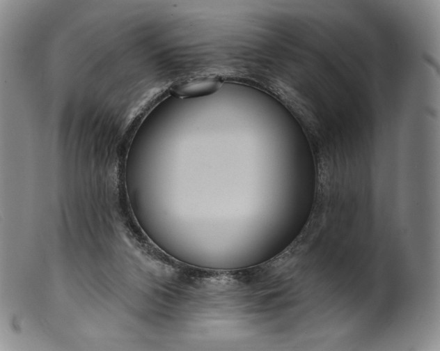 X0000099440112200805231727