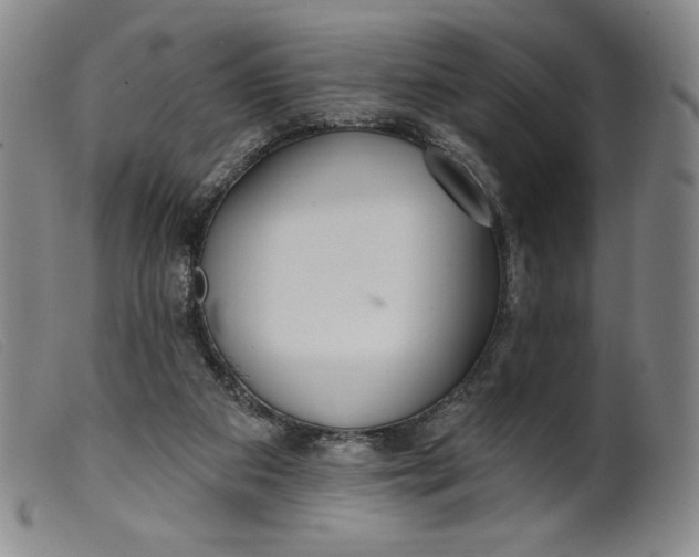 X0000099440113200805231727