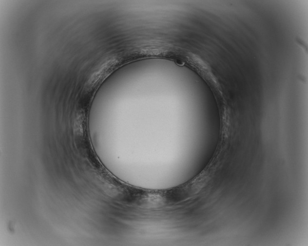 X0000099440114200805231727