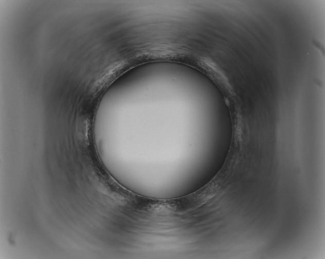 X0000099440115200805231727