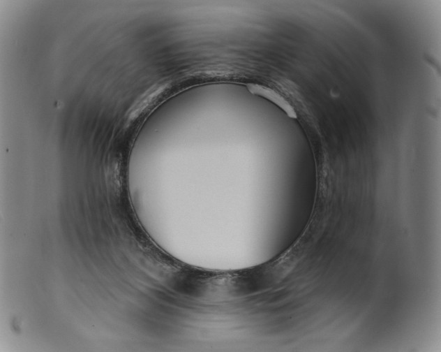 X0000099440116200805231727