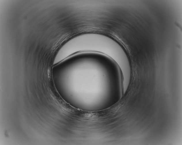 X0000099440117200805231727