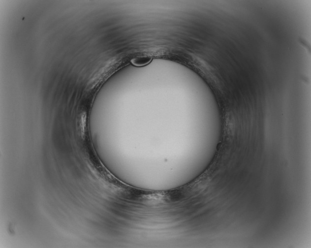 X0000099440118200805231727