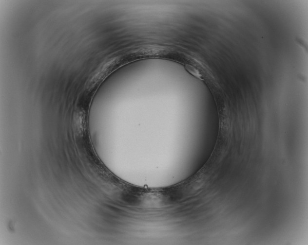 X0000099440119200805231727