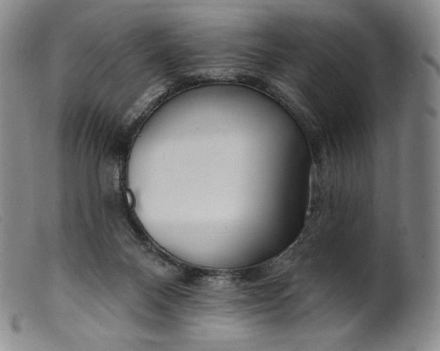 X0000099440120200805231727