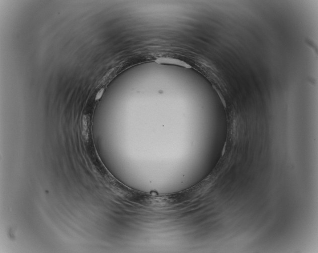 X0000099440121200805231727