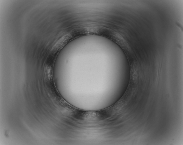 X0000099440123200805231727