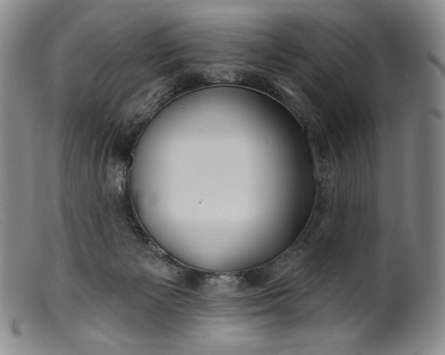 X0000099440125200805231727