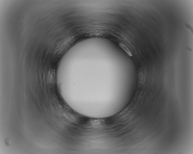 X0000099440126200805231727