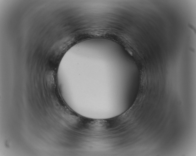 X0000099440128200805231727