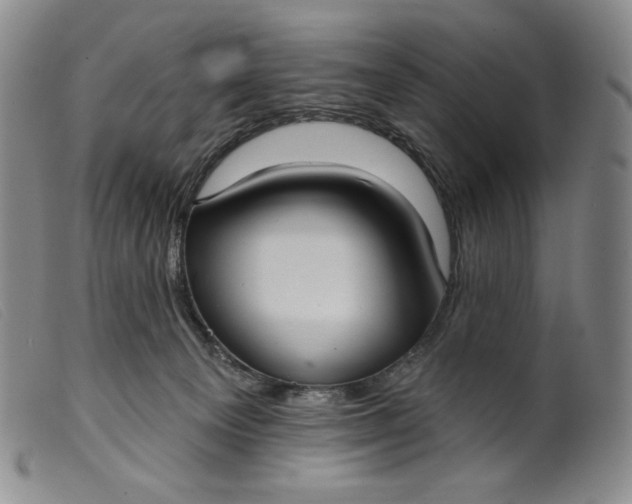 X0000099440129200805231727