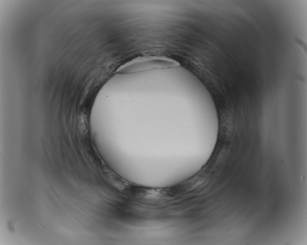 X0000099440130200805231726