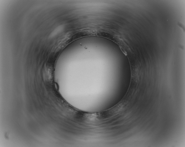 X0000099440131200805231726