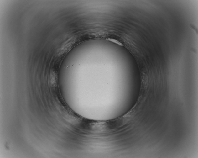 X0000099440132200805231726