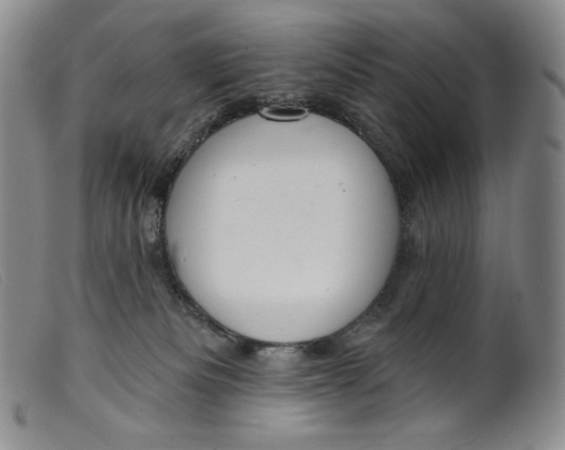 X0000099440133200805231726
