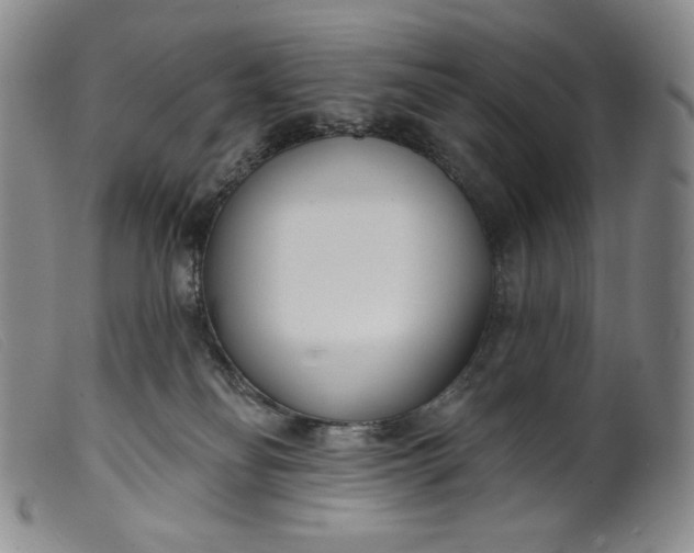 X0000099440134200805231726