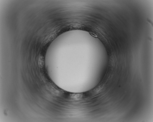 X0000099440135200805231726